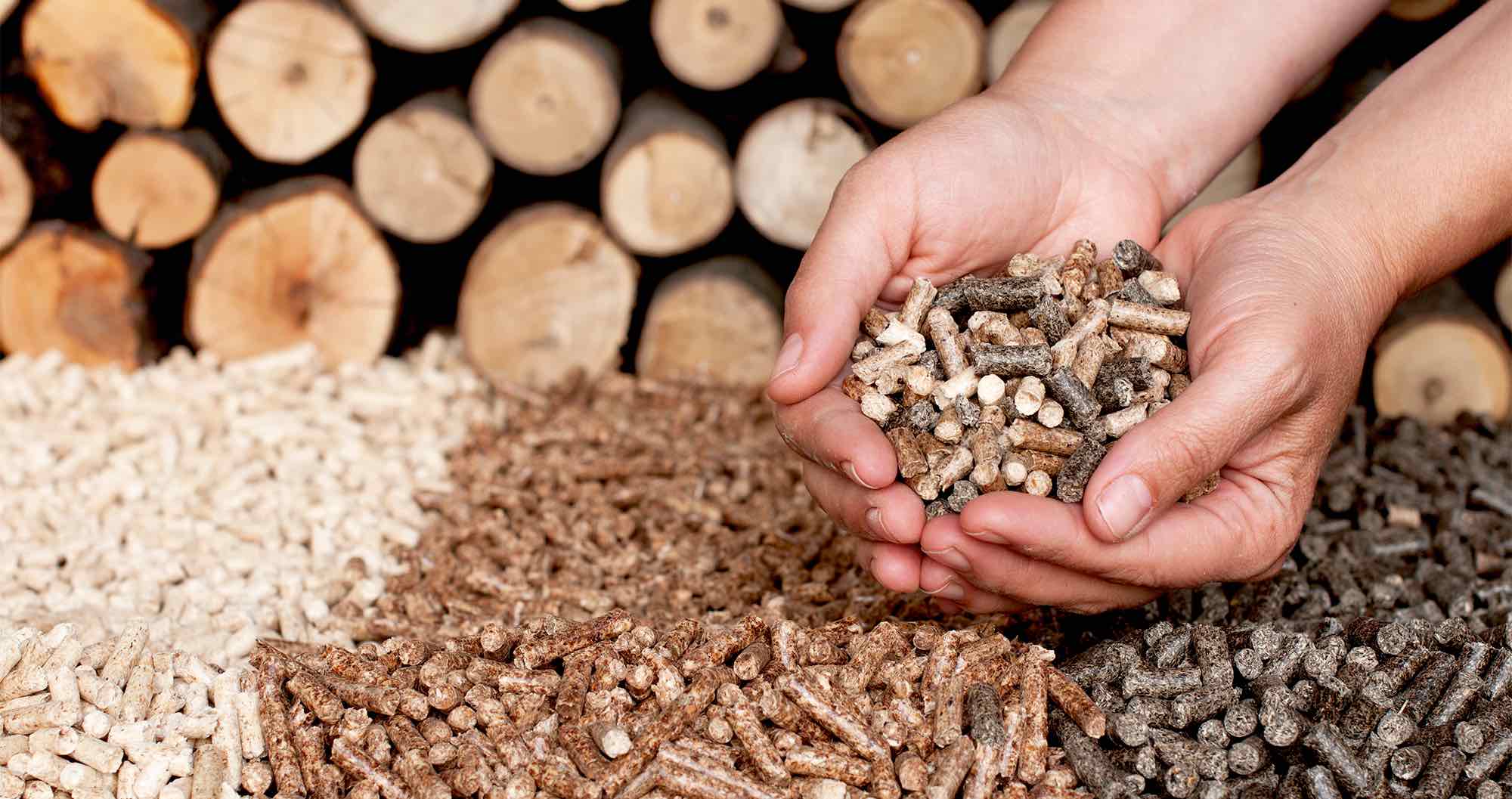 Green_Mountain_Grills_Hardwood_Pellets (2)